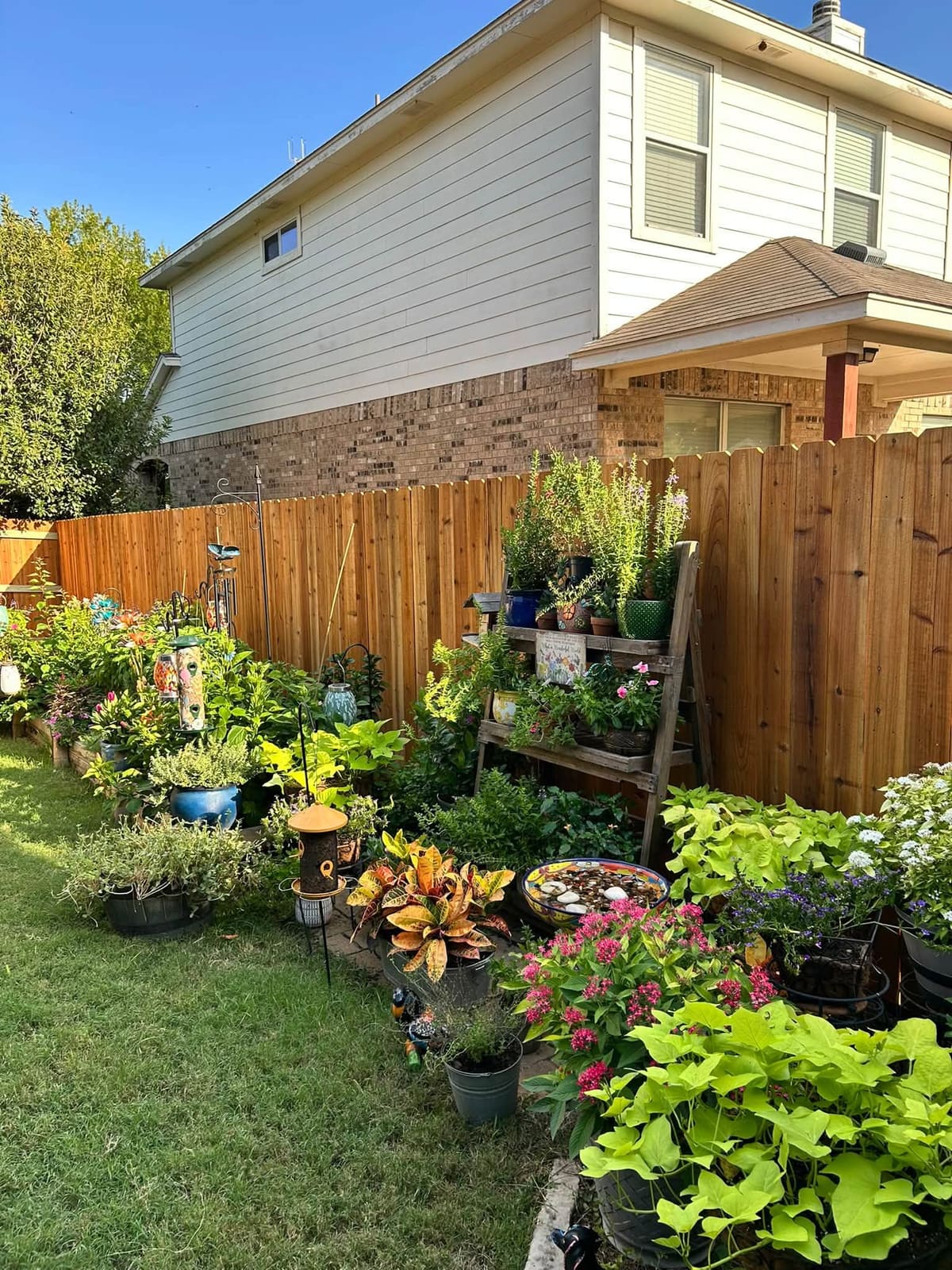 Cedar Privacy Fence in Austin