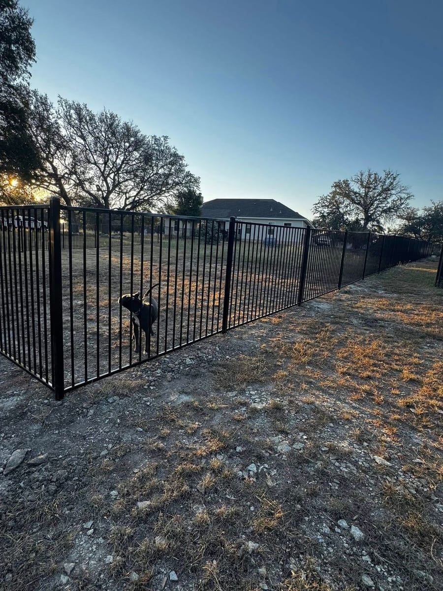 5' Rackable Wrought Iron Fence in Burnet