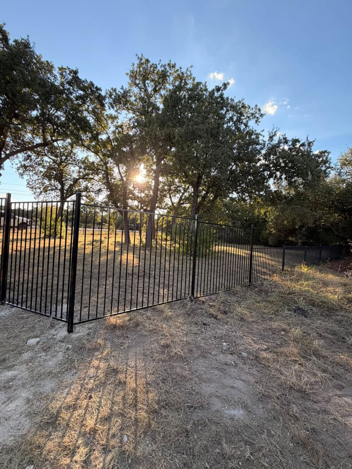 Ornamental Iron Fence & Gate in Liberty Hill